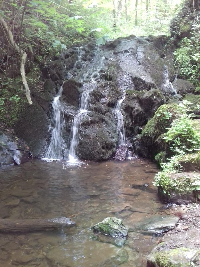Gaestehaus Viktoria Bad Bertrich Dış mekan fotoğraf